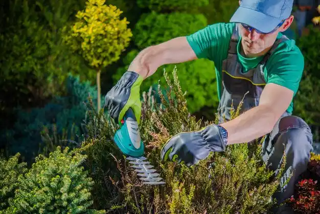 landscaping services Augusta